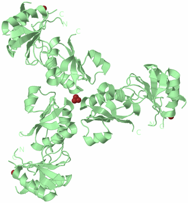 Image Biological Unit 2