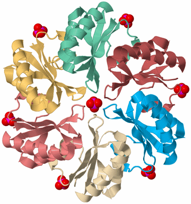 Image Biological Unit 1