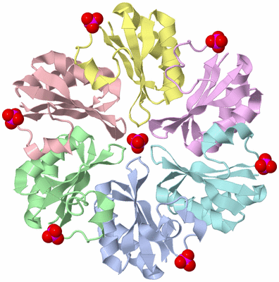 Image Biological Unit 2