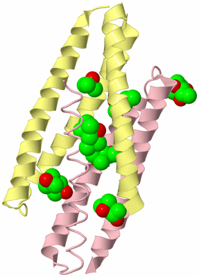 Image Biological Unit 3