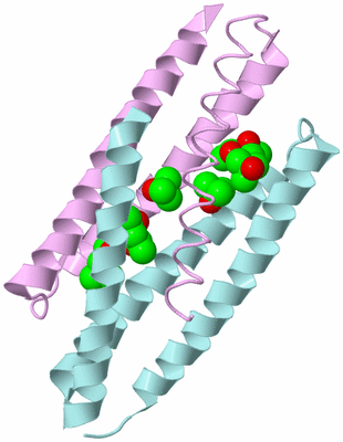 Image Biological Unit 4