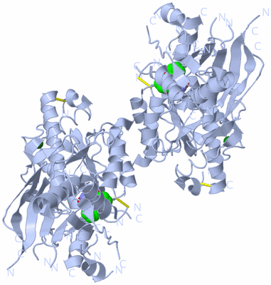 Image Biological Unit 1