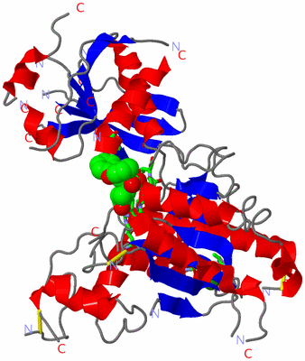 Image Asym. Unit - sites