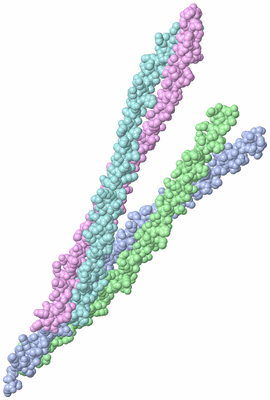 Image Asymmetric Unit