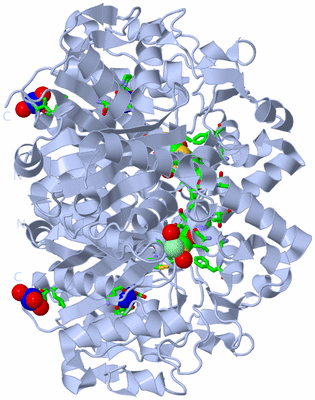 Image Biol. Unit 1 - sites