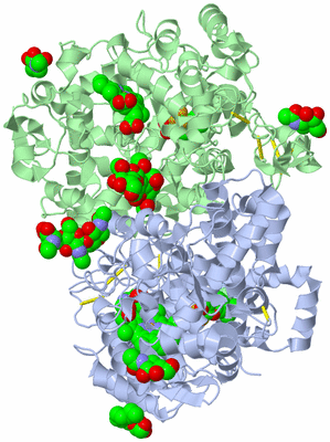 Image Biological Unit 1