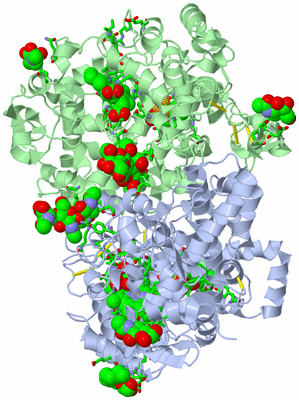 Image Biol. Unit 1 - sites