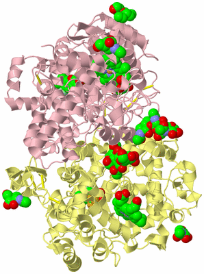 Image Biological Unit 2