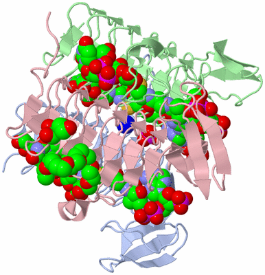 Image Biological Unit 1