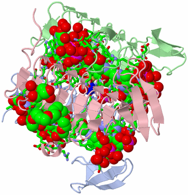 Image Biol. Unit 1 - sites