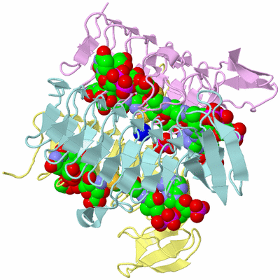 Image Biological Unit 2