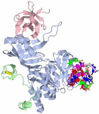 Image Asym./Biol. Unit