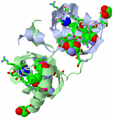 Image Asym./Biol. Unit - sites