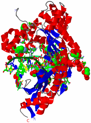 Image Asym./Biol. Unit - sites