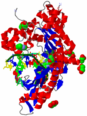 Image Asym./Biol. Unit