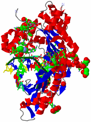 Image Asym./Biol. Unit - sites