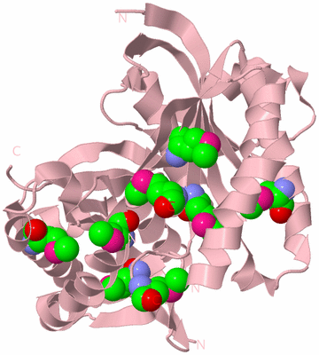 Image Biological Unit 2