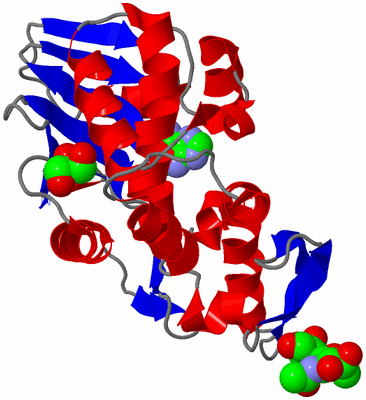 Image Asym./Biol. Unit