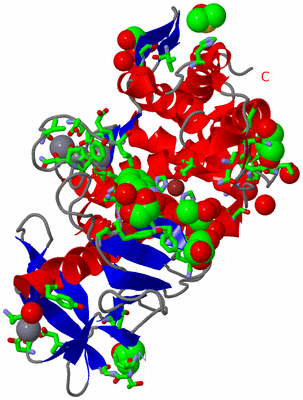 Image Asym./Biol. Unit - sites