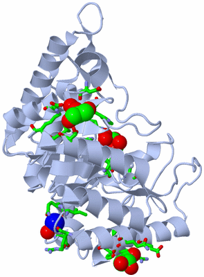 Image Biol. Unit 1 - sites