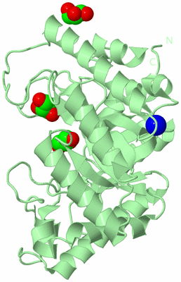 Image Biological Unit 2