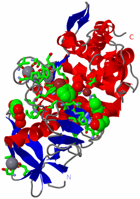 Image Asym./Biol. Unit - sites