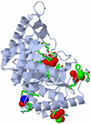 Image Biol. Unit 1 - sites