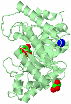 Image Biological Unit 2