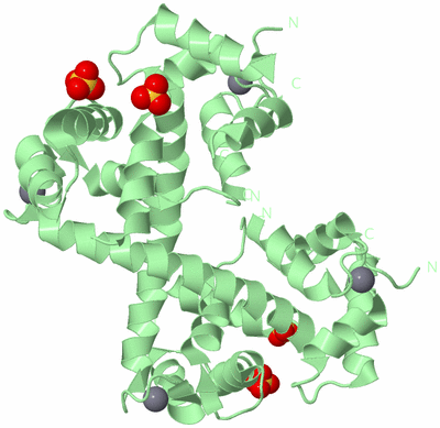 Image Biological Unit 1