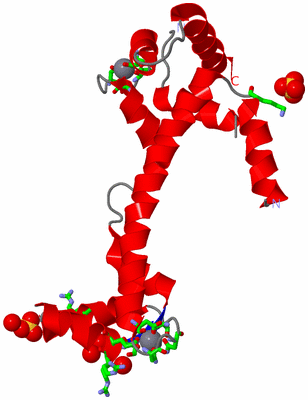 Image Asym. Unit - sites