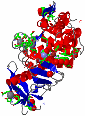 Image Asym./Biol. Unit - sites