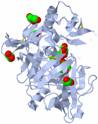 Image Biological Unit 1