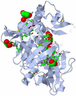 Image Biol. Unit 1 - sites