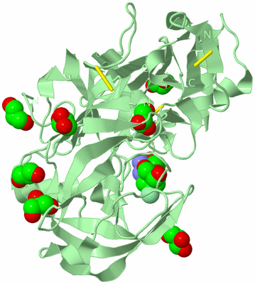 Image Biological Unit 2