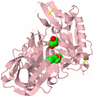 Image Biological Unit 3