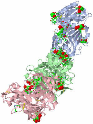 Image Asym. Unit - sites