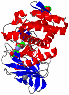 Image Asym./Biol. Unit