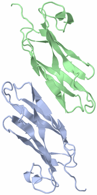 Image NMR Structure - model 1