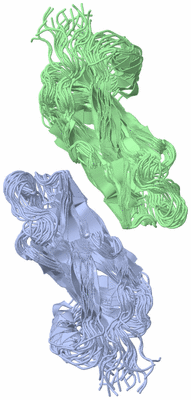 Image NMR Structure - all models