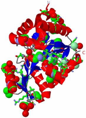 Image Asym./Biol. Unit - sites