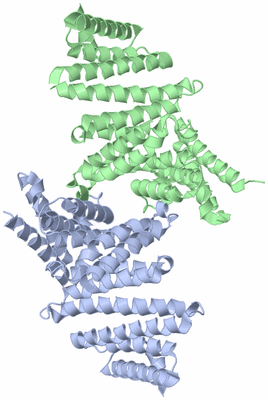 Image Biological Unit 3