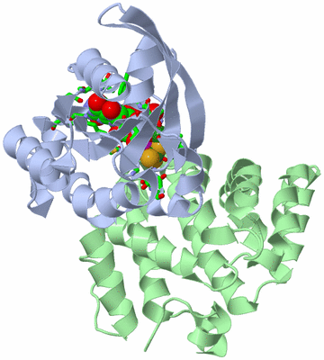 Image Asym./Biol. Unit - sites