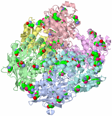 Image Asym./Biol. Unit