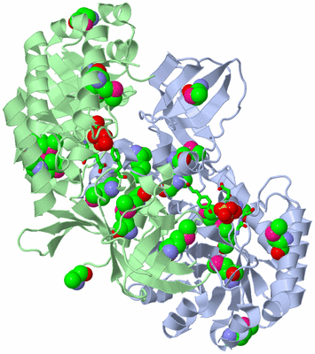 Image Asym./Biol. Unit - sites