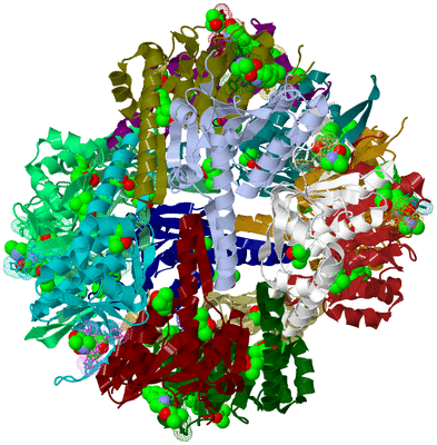 Image Biological Unit 1