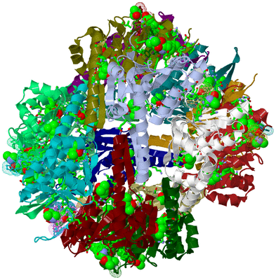 Image Biol. Unit 1 - sites