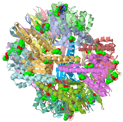 Image Biological Unit 2