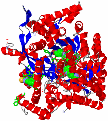 Image Asym. Unit - sites