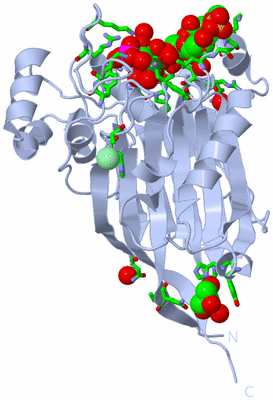 Image Biol. Unit 1 - sites