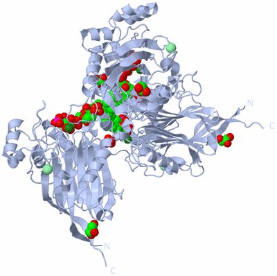 Image Biological Unit 2